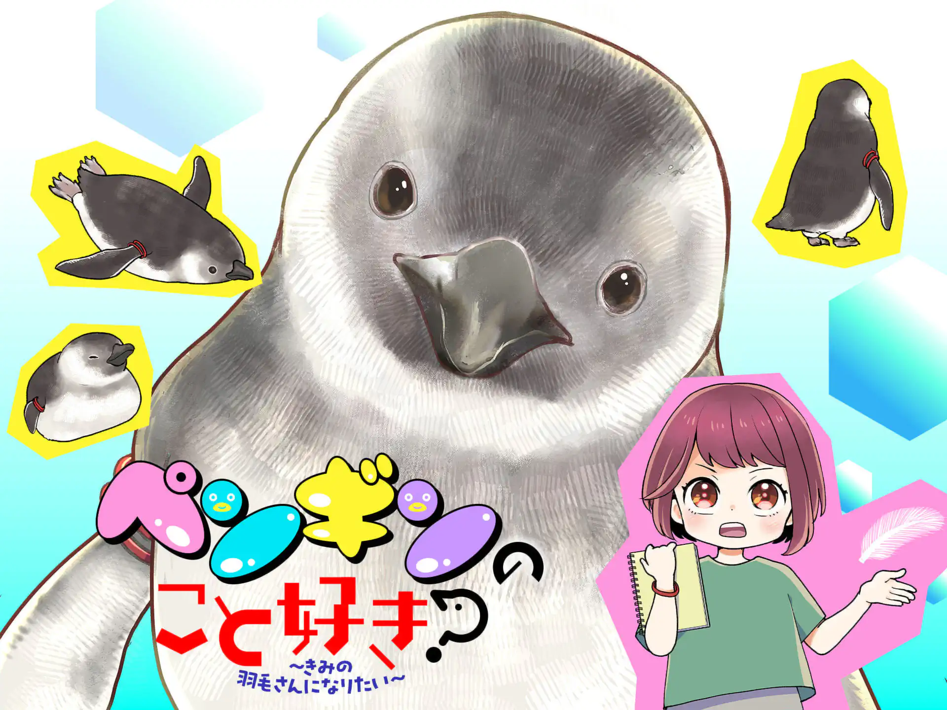 ペンギンのこと好き?~きみの羽毛さんになりたい~ の作品サムネイル
